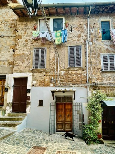 Ingresso di Casa Van Lente a Capranica Ingresso della casa vacanze Casa Van Lente a Capranica, con una porta in legno massiccio, piante rampicanti e una strada in pietra.
