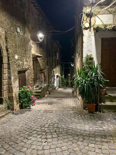 Vicolo acciottolato di notte a Sutri, con piante e luce calda davanti a una casa vacanze storica.