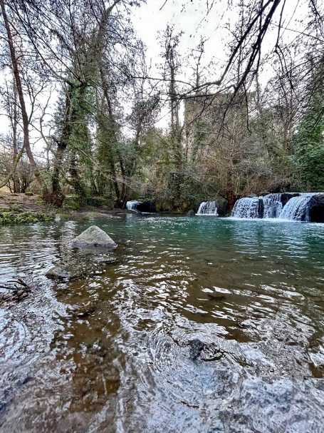 Piccole cascate immerse nel verde della Valle del Treja, con acqua limpida e atmosfera tranquilla tra gli alberi.