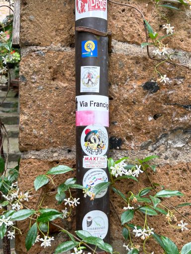 Adesivi della Via Francigena su un tubo davanti a un muro in tufo, con fiori di gelsomino.
